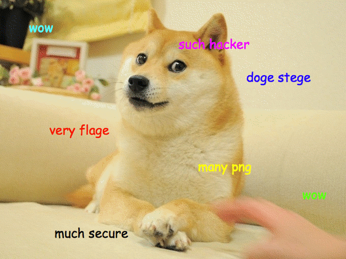 Original doge_stege Image